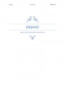 Etapa 1 edición avanzada de documentos