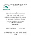 BACHILLER EN MANTENIMIENTO DE SISTEMAS ELECTRÓNICOS