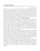 EL APRENDIZAJE PROFESIONAL