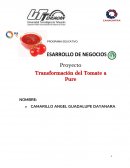 Pure de Tomate "Proyecto"