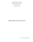 La paz desde la perspectiva simbolica