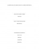 IMPORTANCIA DE ELEGIR BIEN UNA CARRERA PROFESIONAL