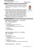 EXPERIENCIA PROFESIONAL RESUMEN