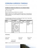INFORME DEL TRABAJO DE LIMPIEZA DE LA VIA COMUNA TANGALI