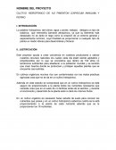 CULTIVO HIDROPÓNICO DE AJÍ PIMENTON (CAPSICUM ANNUUM) Y PEPINO