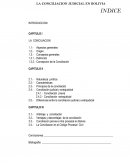LA CONCILIACION JUDICIAL EN BOLIVIA