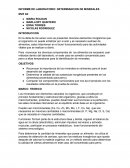 INFORME DE LABORATORIO: DETERMIANCION DE MINERALES