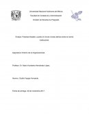 Ensayo Paraisos Fiscales en mexico