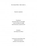 Plan estratégico Hilados y Tejidos Andina S.A.