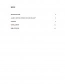 ¿Cuál es el tema central de la novela el socio?