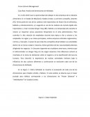 Cross Cultural Management DImensiones Hofstede