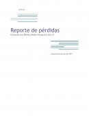 Reporte de perdidas