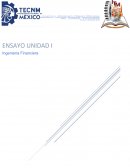 Ensayo Ingeniería económica