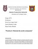 Reporte 6 fisiología celular