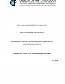 DISTRIBUCIÓN DE ESPECIES DE TORTRICIDOS (LEPIDOPTERA: TORTRICIDAE) EN MÉXICO