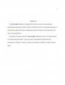 TRABAJO DE REDACCIÓN - MACRORREGLAS