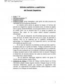 Informe cualitativo y cuantitativo