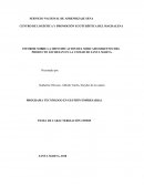 INFORME SOBRE LA IDENTIFICACION DEL MERCADO OBJETIVO DEL PRODUCTO LECHESAN EN LA CIUDAD DE SANTA MARTA.