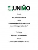 Fisiopatología de las infecciones transmitidas por alimentos