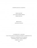 Deforestasion en el amazonas