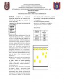 Preparación del derivado dinitrofenilado de la hemoglobina: