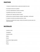 Diseccición de corazón