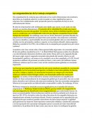 Procurement Lineamientos