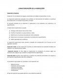 Caracterización de la inspección