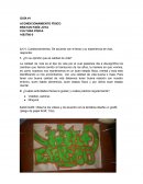 Acondicionamiento físico, cultura física