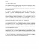 ENSAYO DE RAMON CASTILLA