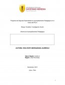 Programa de Segunda Especialidad en Acompañamiento Pedagógico en el marco del PELA