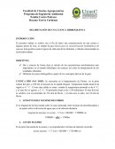 DELIMITACIÓN DE UNA CUENCA HIDROGRÁFICA