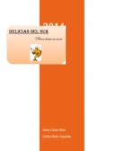 Mercadeo DELICIAS DEL SUR