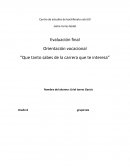 Diagnostico vocacional