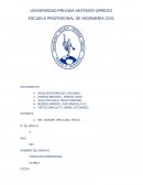 Informe de absorsión