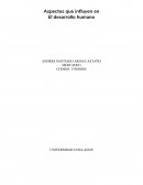Ensayo El desarrollo humano