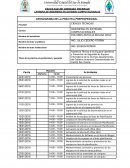 CRONOGRAMA DE LA PRÁCTICA PREPROFESIONAL