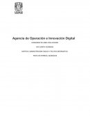 Agencia de operacion e innovacion digital