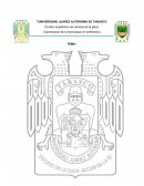 Proceso de atención en enfermería aplicado en la etapa de puerperio.