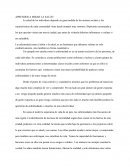 Aprender a mirar la salud