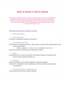 Portafolio lab de dinamica