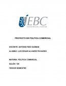 PROYECTO DE POLITICA COMERCIAL