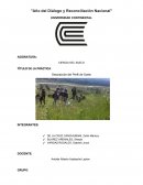 Informe sobre el perfil de suelo del distrito de sincos