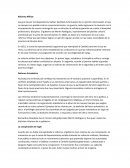 Reforma Militar ensayo