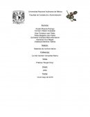 Control Interno de Burger King