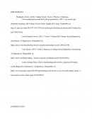 RELACIÓN ENTRE LA TEORÍA Y LA PRÁCTICA EN EL TRABAJO SOCIAL