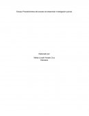 Ensayo Procedimientos del proceso de desarrollar investigación judicial.