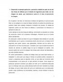 Seguridad Industrial - Ensayo