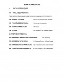 Prácticas Pre-Profesionales en el área Técnico de la empresa RIC TECNOLOGY