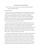 Desarrollo de la percepción humana